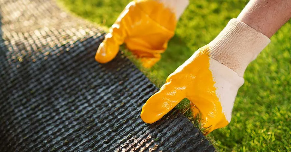 Página de produto: Manutenção Campo de Grama Sintética